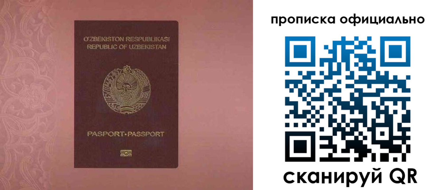 прописка гарантия в Александрове